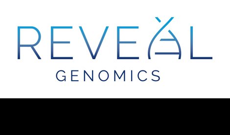 Comunicados Internacional