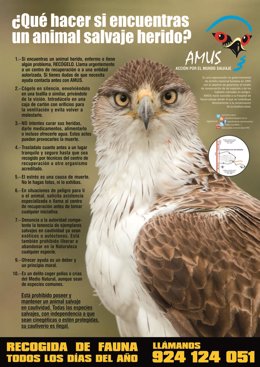 Cartel de la campaña sobre fauna herida