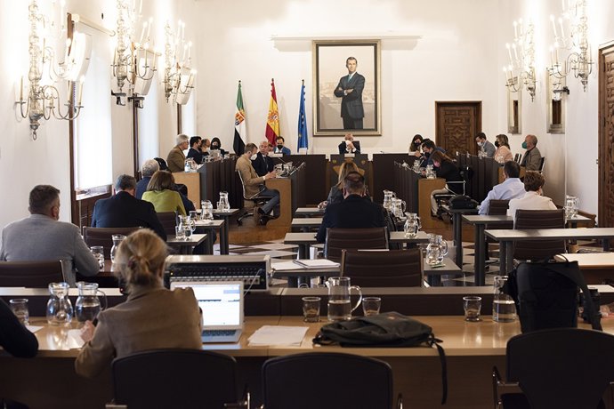 Pleno ordinario del mes de abril de la Diputación de Cáceres celebrado este jueves