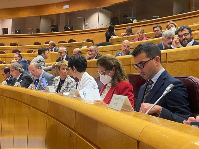 El conseller de Fondos Europeos, Universidad y Cultura, Miquel Company, en el Senado.