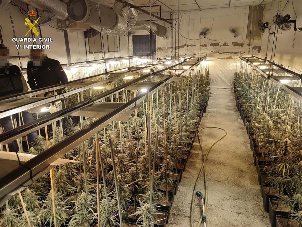 Nave con marihuana en El Carpio de Tajo.