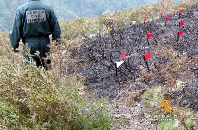 Archivo - La Guardia Civil investiga a un hombre por dos incendios de febrero que arrasaron 17 hectáreas en Liérganes