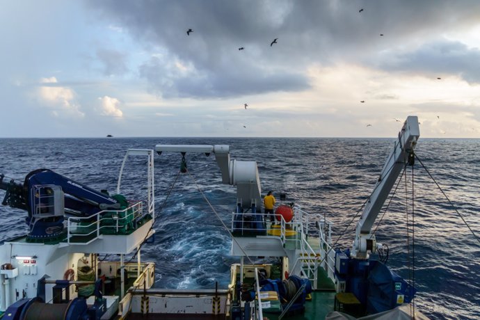 Archivo - Científicos del IEO observan un ave antártica en aguas del Atlántico Norte durante una campaña oceanográfica