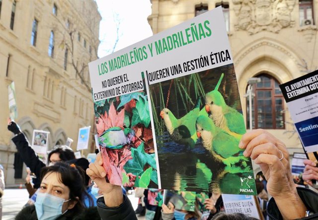 Archivo - Varias personas con carteles en defensa de las cotorras participan en una manifestación frente al Ayuntamiento de Madrid.