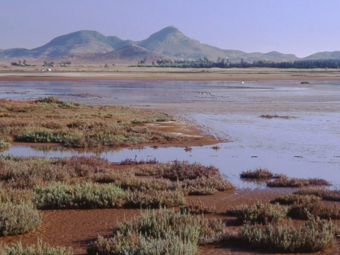 La Marina del Carmol, en el Mar Menor