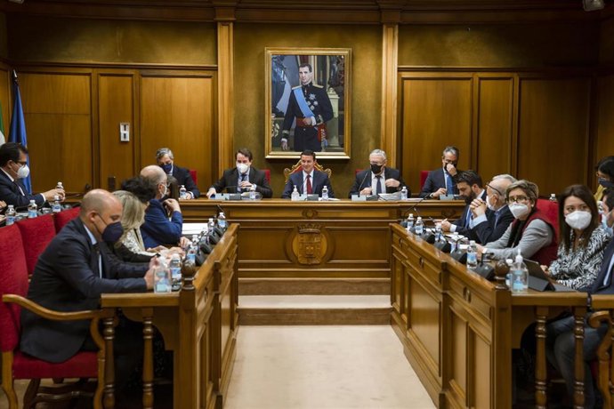 Pleno ordinario de la Diputación de Almería.