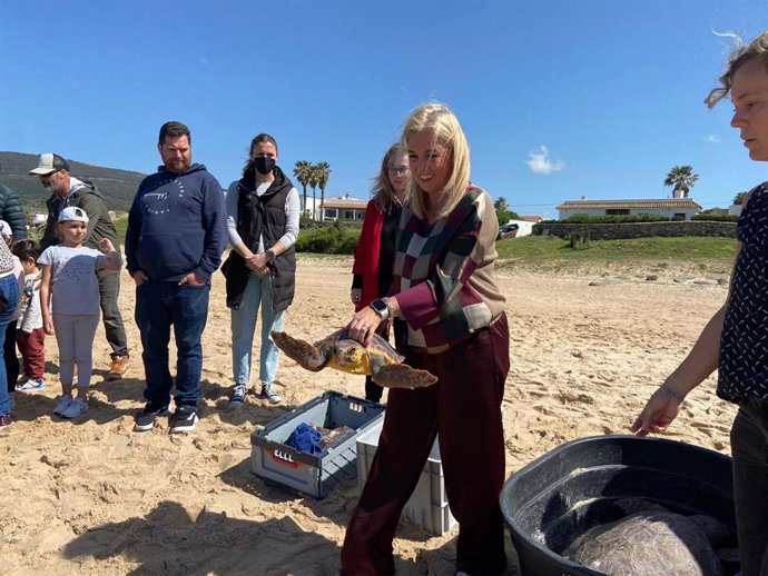 Suelta de ejemplares de tortuga boba.