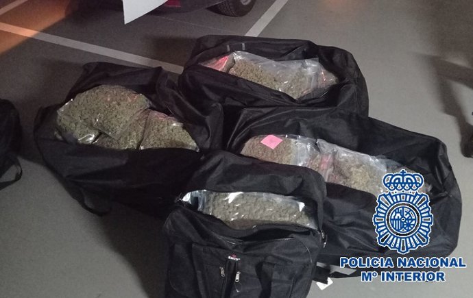 Droga incautada en una operación policial