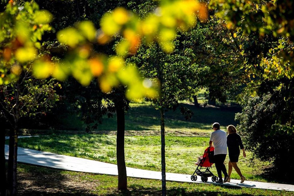 Archivo - Loa 30.000 árboles de los parques del AMB absorben cada año 132 toceladas de CO2, según un estudio encargado por el ente metropolitano.