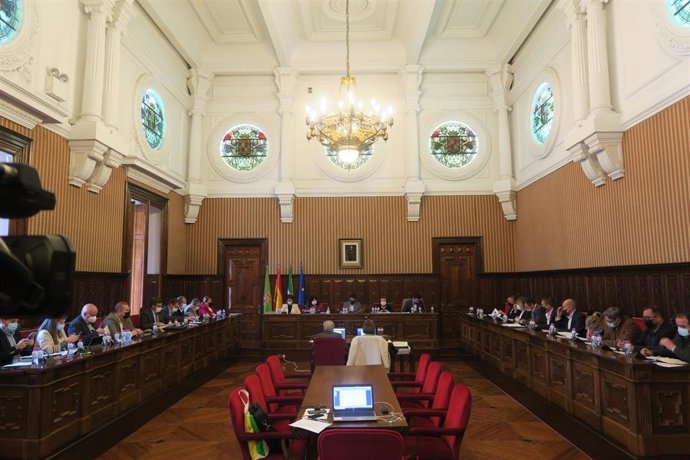 Celebración del pleno ordinario de marzo (archivo)