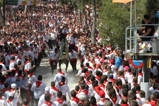 Carrera de los Caballos del Vino