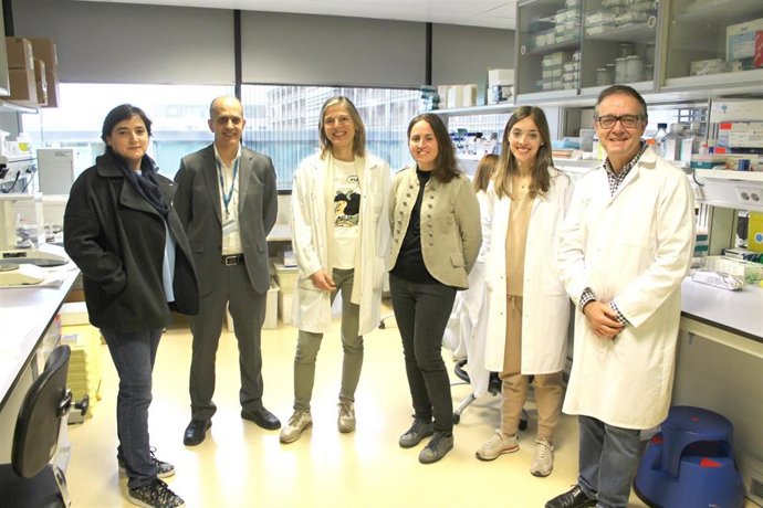 Estudio en el que han colaborado investigadores del CIBIR y del CTICH que demuestra que añadir champiñones a una dieta sana puede prevenir la aparición de enfermedades neurodegenerativas