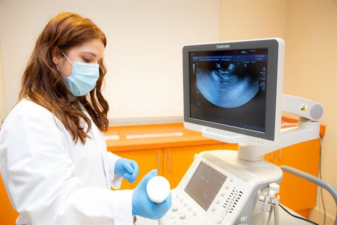 Expertos de Vithas recomiendan acudir a la unidad de reproducción cuando no hay éxito de embarazo tras un año de intento