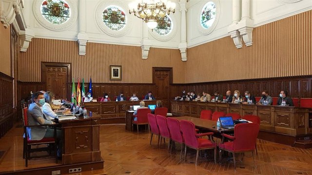 Pleno de la Diputación.