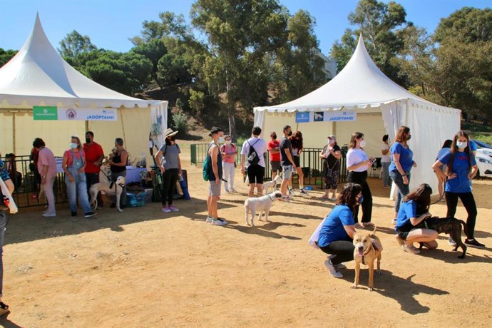 La Diputación de Huelva, a través del Servicio de Medio Ambiente, organiza el este domingo, 8 de mayo, la segunda edición de la Feria Provincial de Adopción de Animales 'Huelva protege'.
