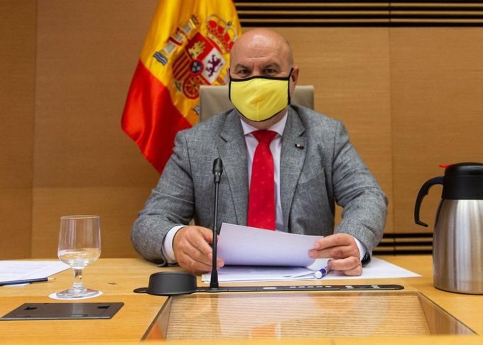 Archivo - El presidente de CERMI, Luis Cayo Pérez Bueno, comparece en la Comisión de Sanidad y Consumo del Congreso