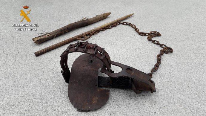 Cepo localizado por la Guardia Civil en una finca por cuya colocación ha sido investigado un vecino de Coristanco (A Coruña).