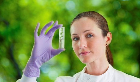 Comunicados Internacional