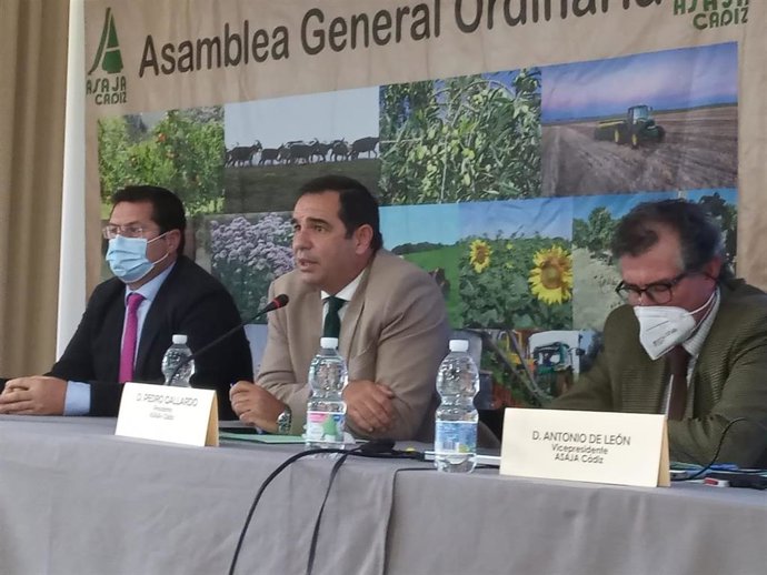 Pedro Gallardo, presidente de Asaja-Cádiz.