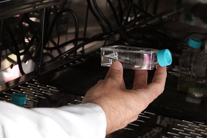 Cultivo de microalgas