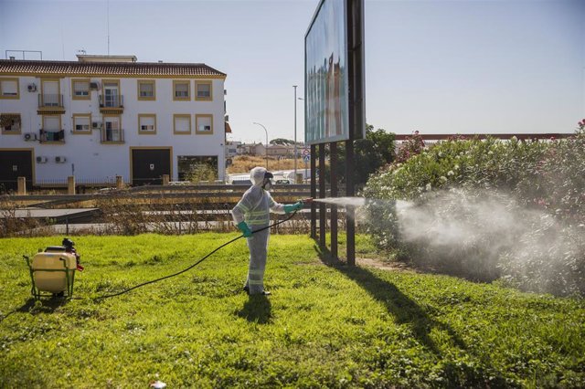 Archivo - Un trabajador durante las labores de fumigación contra los mosquitos causantes del virus del Nilo en Coria del Río, foto de archivo