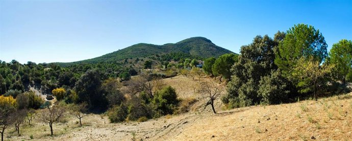 Archivo - Imagen del Cabezo de La Jara