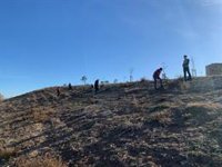 El Bosque Metropolitano a su paso por el Anillo Verde de Villaverde incorporará una pista de atletismo homologada