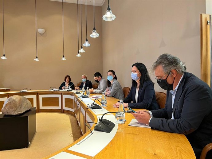 Grupos del Parlamento de Galicia, de Pedro Puy (PPdeG) ,BNG y PSdeG