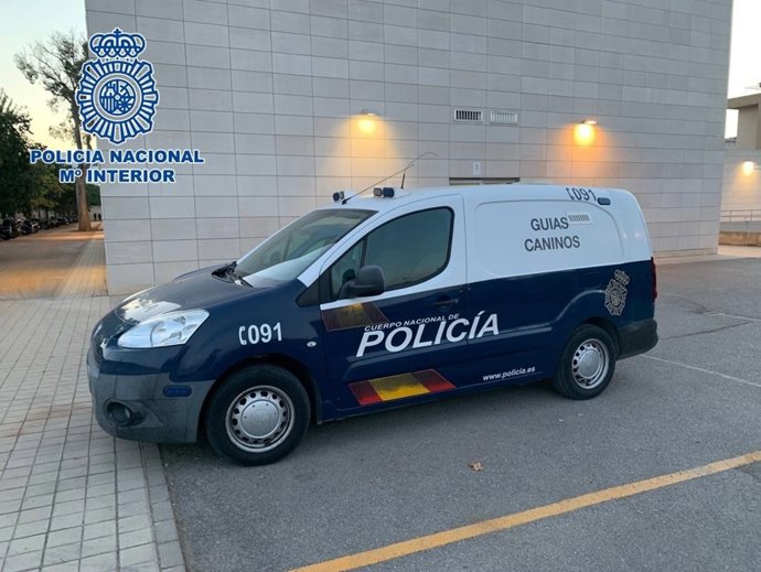 Coche patrulla de Policía Nacional