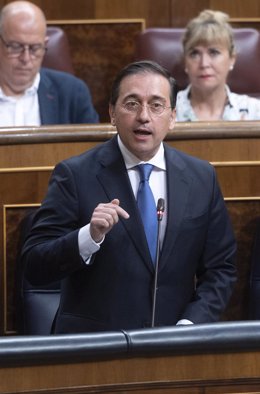El ministro de Asuntos Exteriores, Unión Europea y Cooperación, José Manuel Albares, interviene en una sesión plenaria en el Congreso