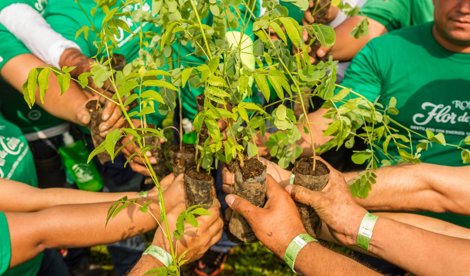 Comunicados Internacional