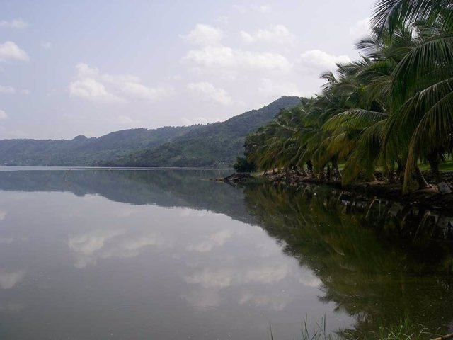 Vegetación costera en el lago Bosumtwi, un lago de cráter en Ghana. El lago Bosumtwi fue creado por el impacto de un meteorito hace alrededor de 1 millón de años y se ha estado llenando de sedimentos desde entonces.