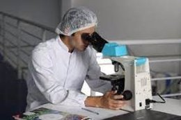 Un investigador utiliza un microscopio.