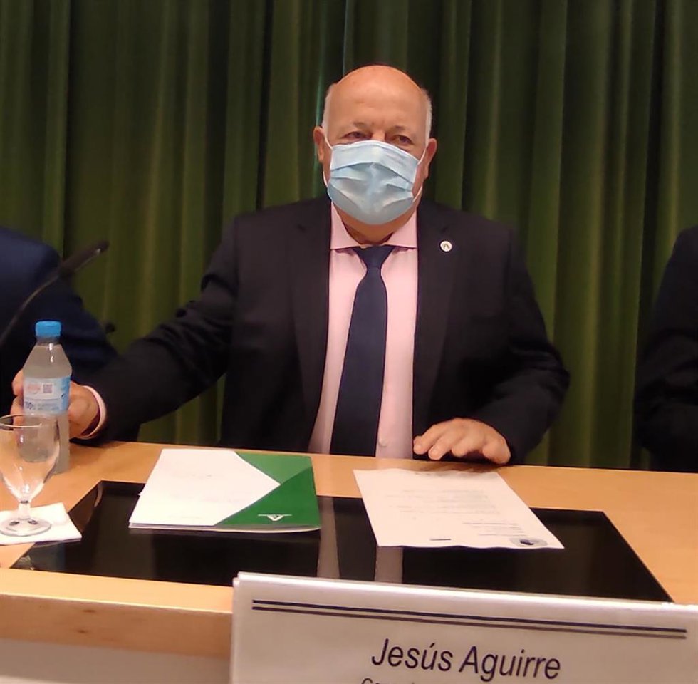 El consejero de Salud y Familias, Jesús Aguirre.
