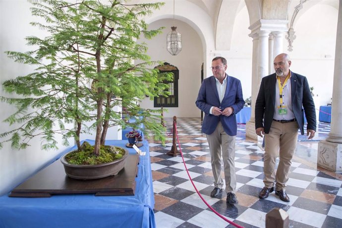 El delegado de Medio Natural y Carreteras de la Diputación de Córdoba, Francisco Palomares (izda.), visita la exposición de bonsáis.