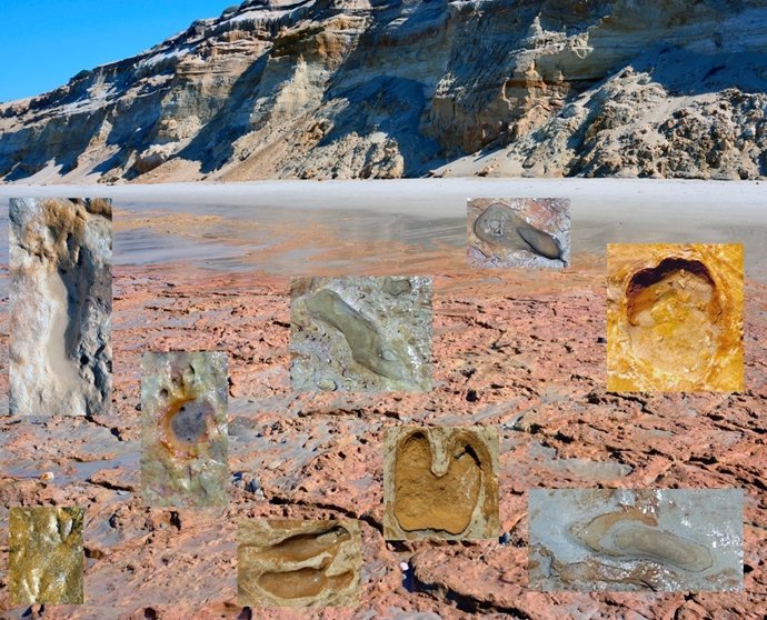 Huelvas prehistóricas en la playa de Matalascañas (Huelva).