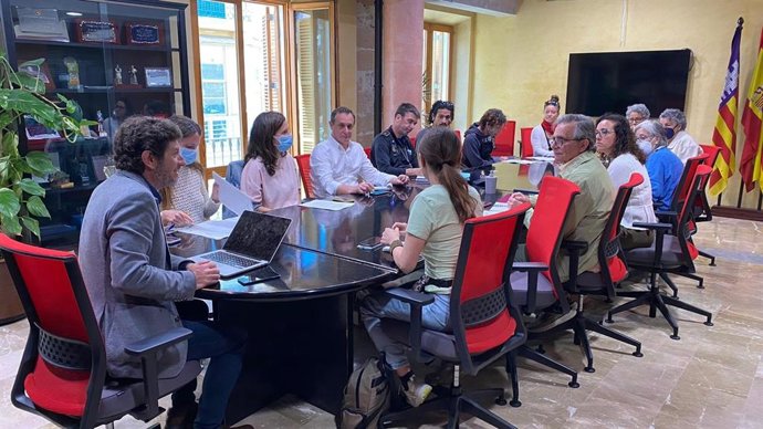 Jarabo preside la primera reunión evaluadora de la instrucción que regula la actividad de artistas en la calle.