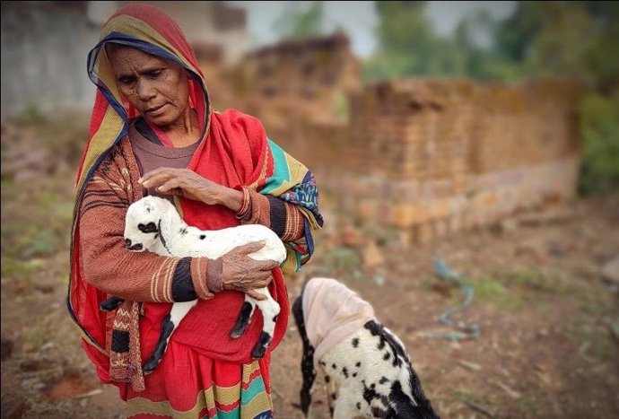 Una mujer sostiene un animal en un poblado de la India.