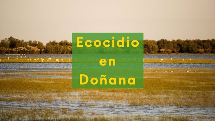 Verdes Equo destaca que la Comisión Europea les "da la razón" y alerta contra el aumento de regadíos en Doñana