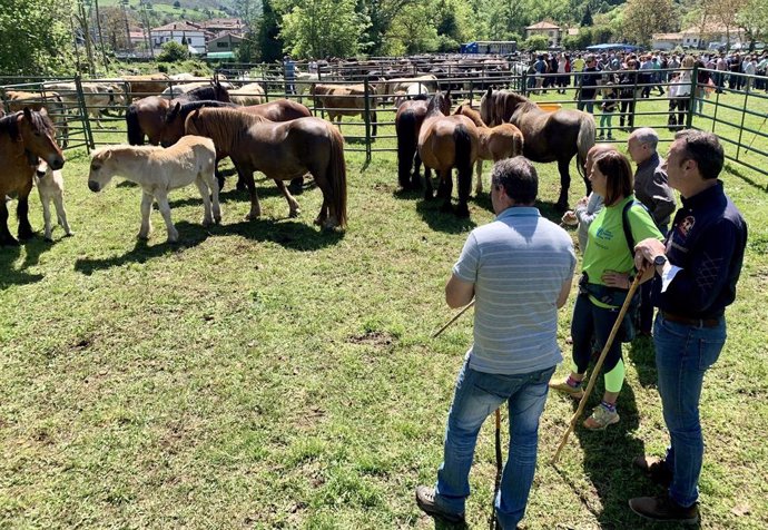 El consejero de Ganadería, Guillermo Blanco, y la de Presidencia, Paula Fernández, en la feria ganadera de Bárcena de Pie de Concha