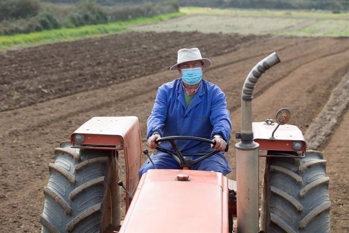 Archivo - Manuel Rodríguez ara sus fincas con el tractor y mascarilla para plantar patatas  en Lugo, Galicia (España), a 24 de marzo de 2021. El sector primario ha sido fundamental durante la pandemia. Agricultores y ganaderos han dado lo mejor de sí mi