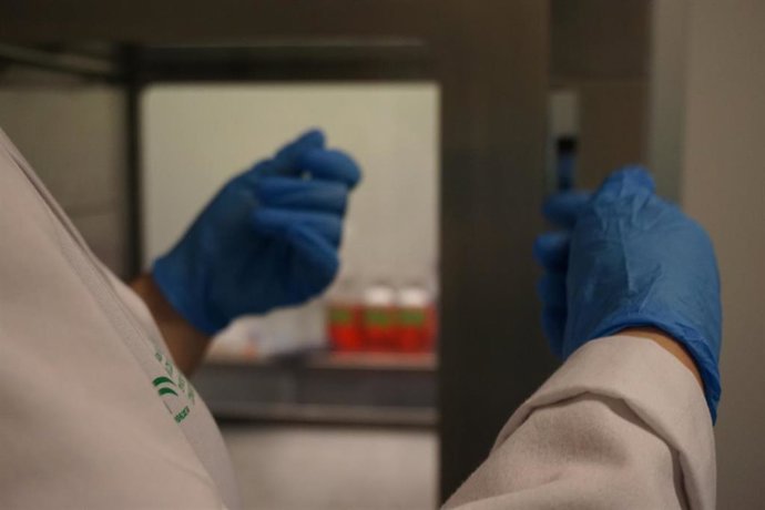 Archivo - Investigador Ibima