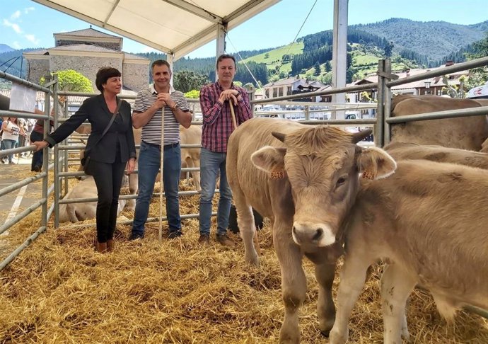 Concurso Nacional de la Raza Bovina Parda de Montaña