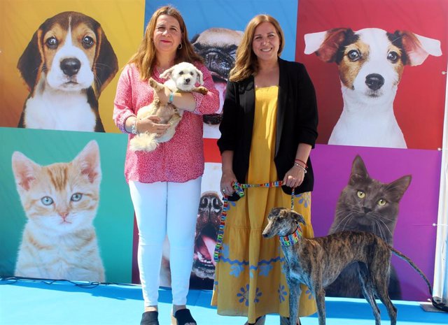 II Feria Provincial de adopción de animales 'Huelva protege'