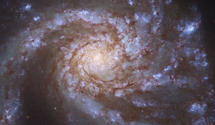 Galaxia M99