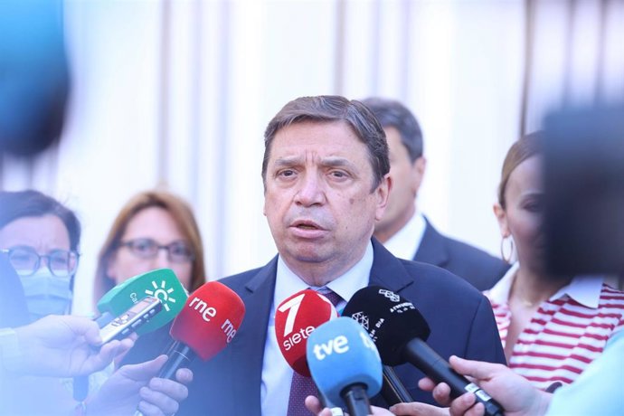 El ministro de Agricultura, Pesca y Alimentación, Luis Planas.