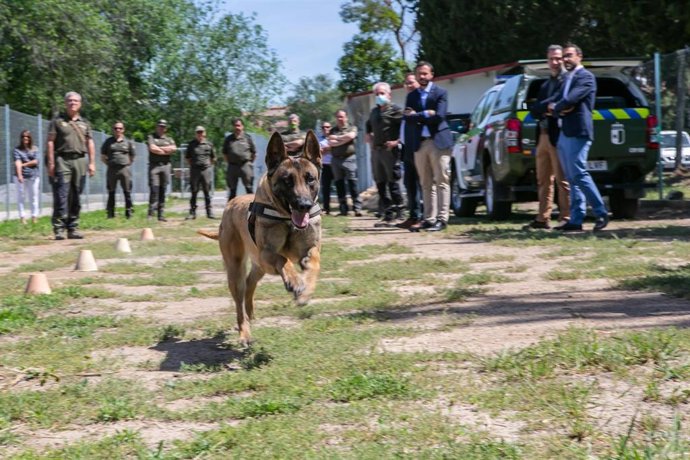 Perro de la unidad canina de los Agentes Medioambientales de Toledo