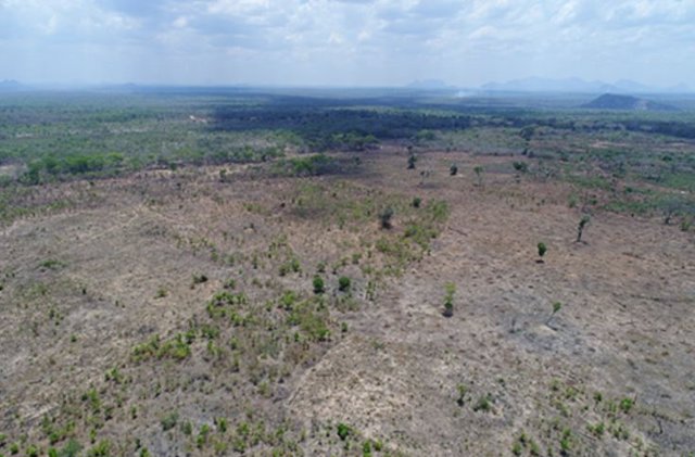 En la imagen un ejemplo deDeforestación en los bosques de Miombo de Mozambique.