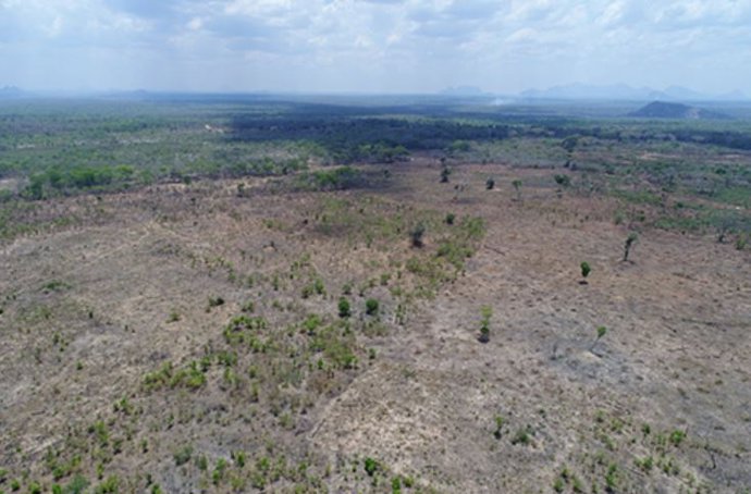 En la imagen un ejemplo deDeforestación en los bosques de Miombo de Mozambique.