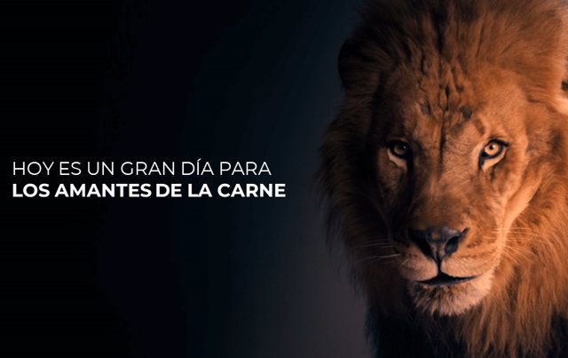 Teka lanza su nueva campaña promocional, protagonizada por un majestuoso león